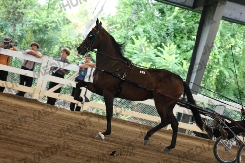 JHM_0601