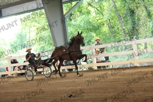 JHM_0752