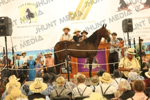 JHM_1353