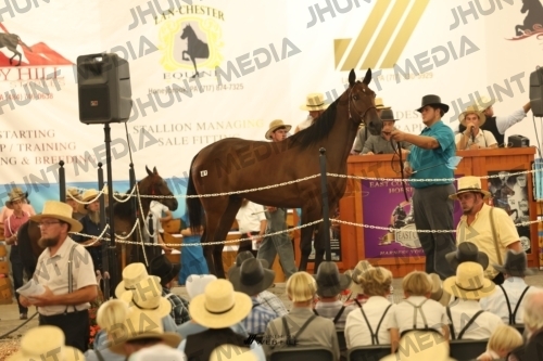 JHM_1334