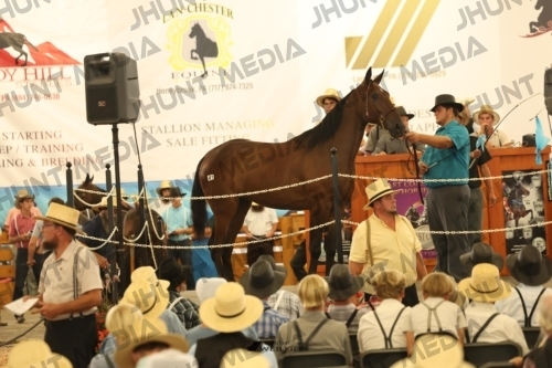 JHM_1335
