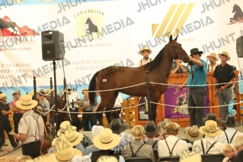 JHM_1338