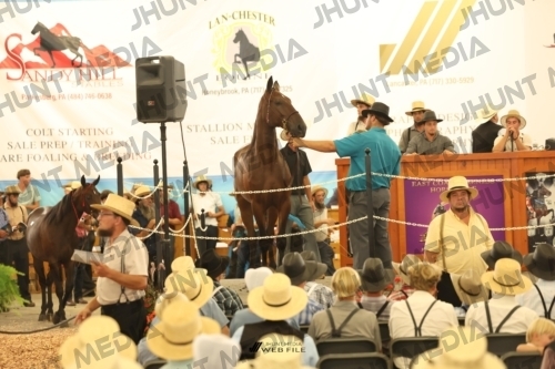 JHM_1340