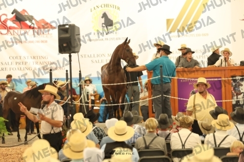 JHM_1341