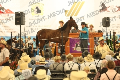JHM_1345