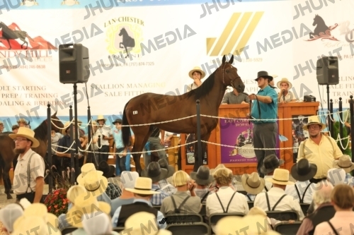JHM_1346