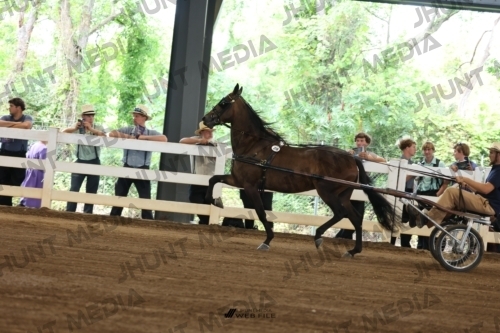 JHM_0376