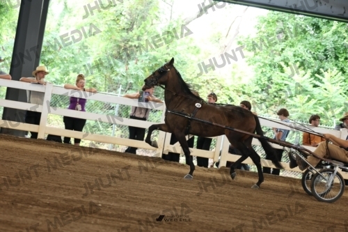 JHM_0379