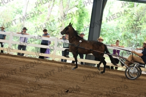 JHM_0380