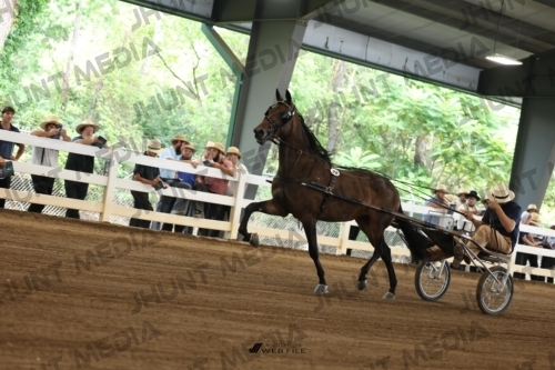 JHM_0386