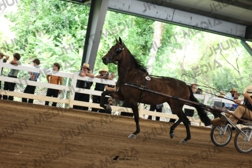 JHM_0387