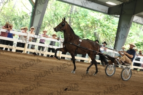 JHM_0694