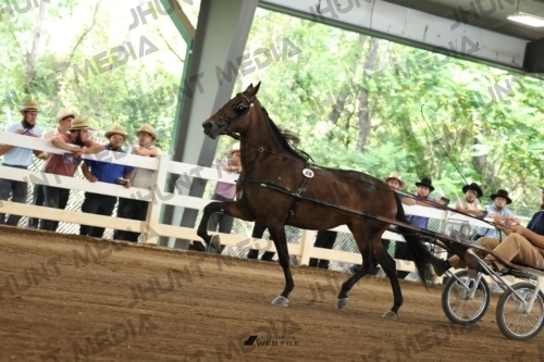 JHM_0696