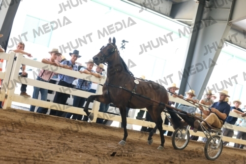 JHM_0699