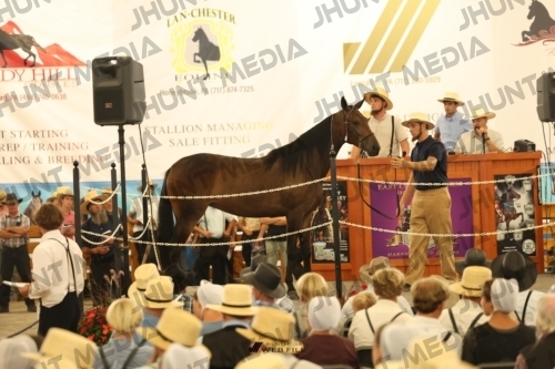 JHM_1212