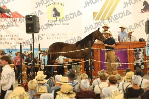 JHM_1214