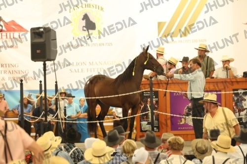 JHM_1298