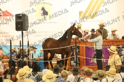 JHM_1299