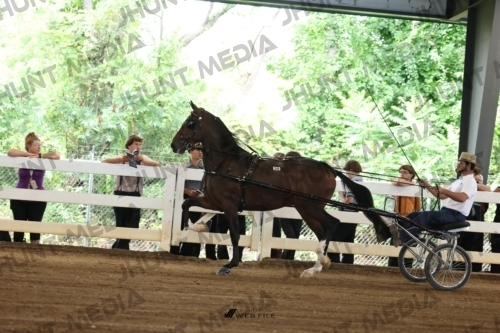 JHM_0384