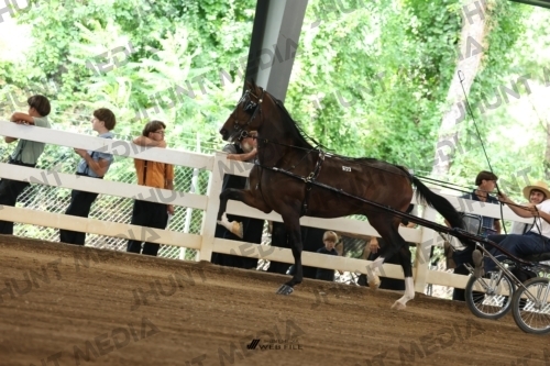 JHM_0393