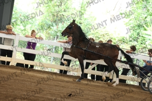 JHM_0394
