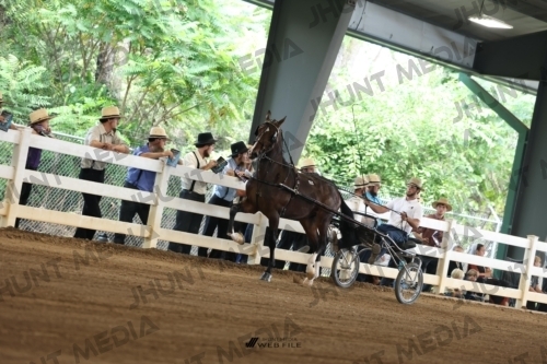 JHM_0409