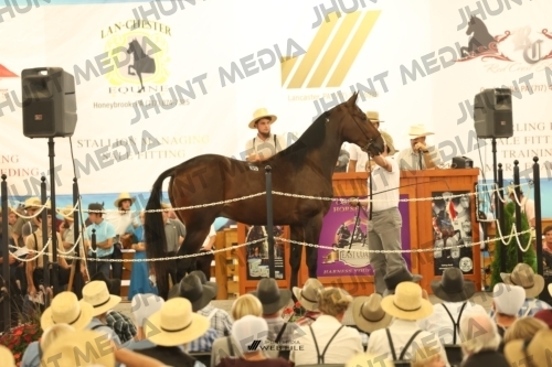 JHM_1317