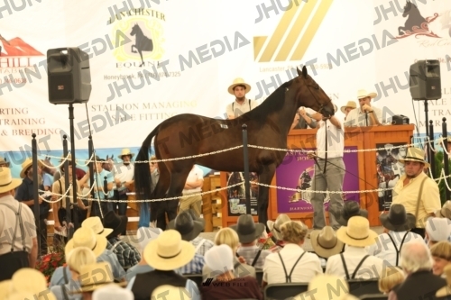 JHM_1318
