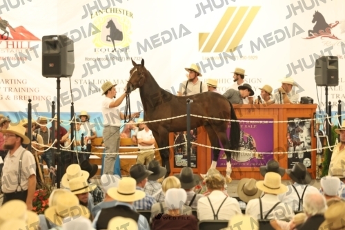 JHM_1326