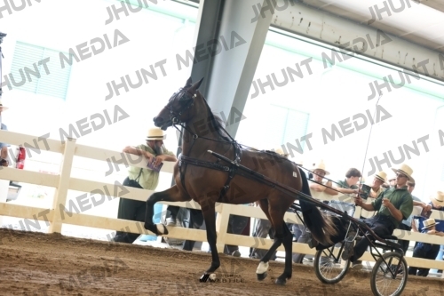 JHM_0495