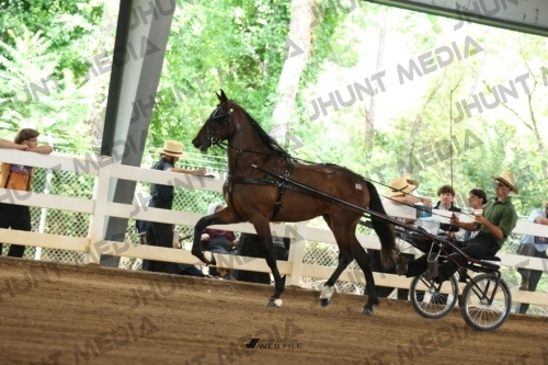 JHM_0498