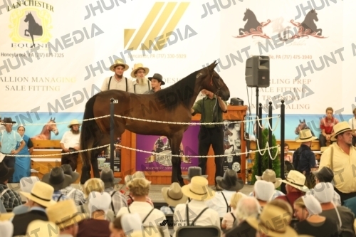 JHM_1291