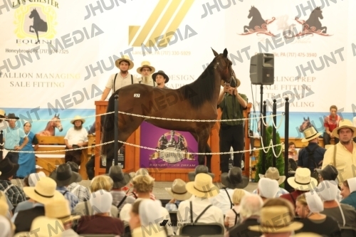 JHM_1292