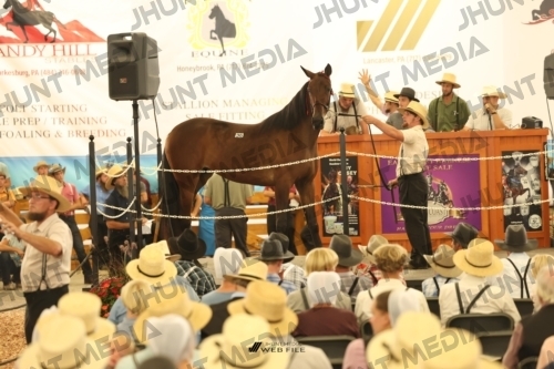 JHM_1287