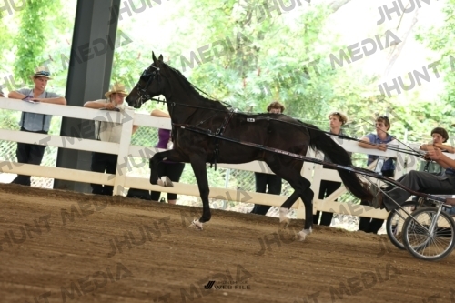 JHM_0358