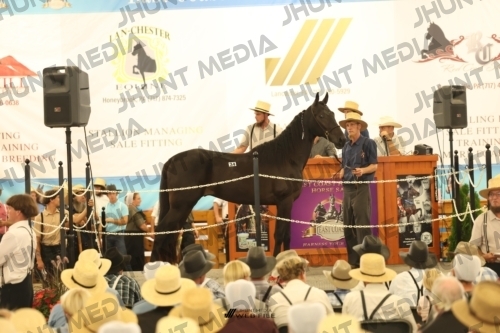 JHM_1281