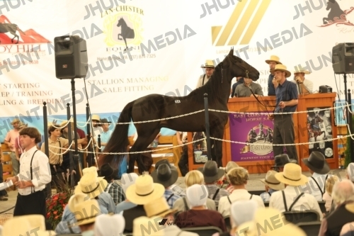 JHM_1283
