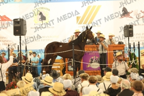 JHM_1270