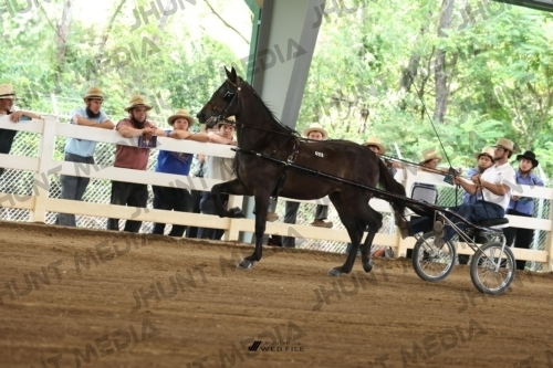 JHM_0709