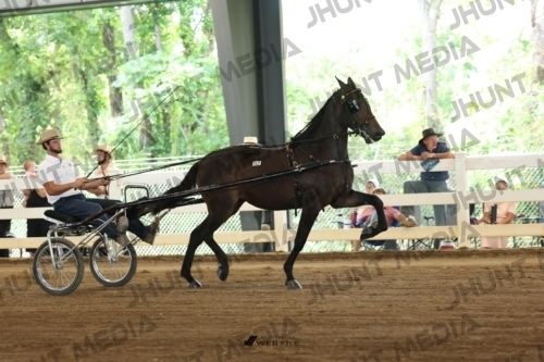 JHM_0725