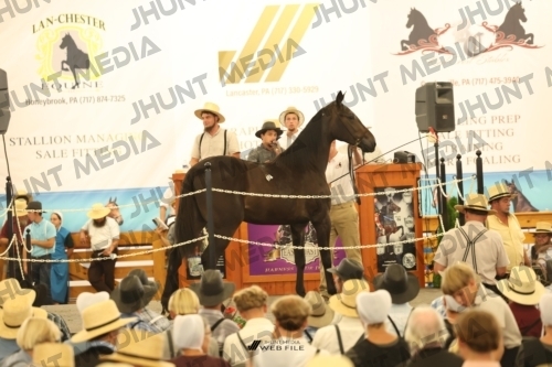 JHM_1244