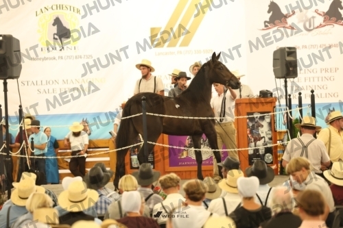 JHM_1245