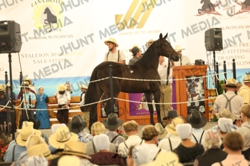 JHM_1246