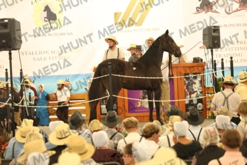 JHM_1247