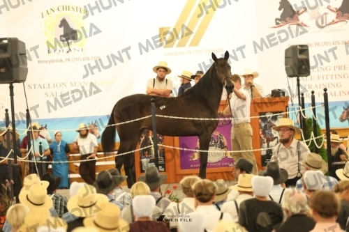 JHM_1252