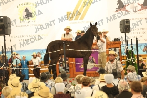 JHM_1253