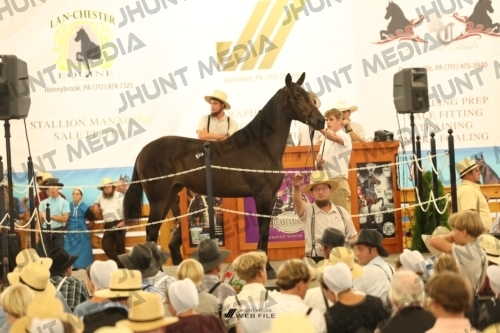 JHM_1256