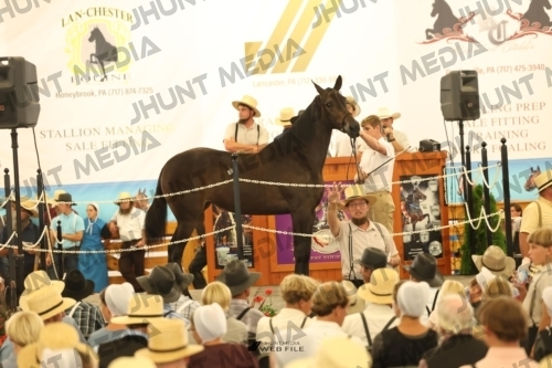 JHM_1258