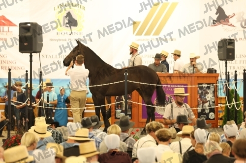 JHM_1261