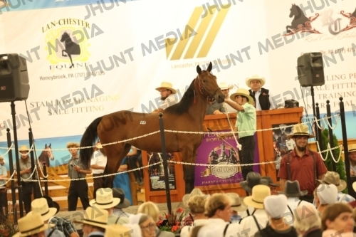 JHM_1678